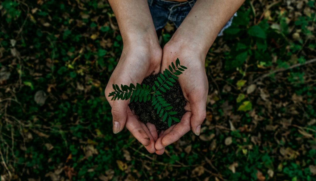 Sustainable Ecommerce Website